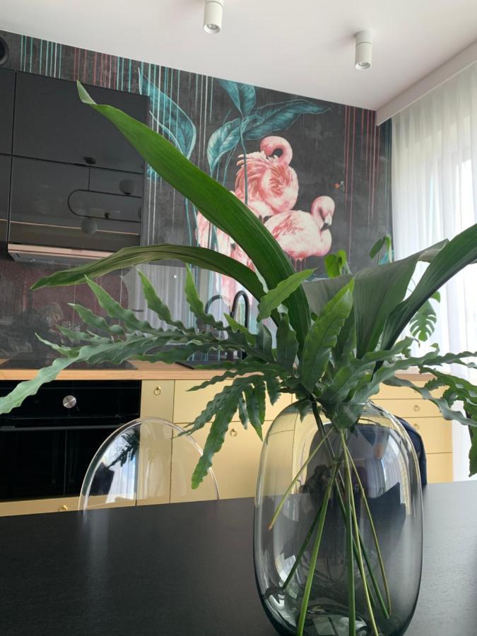 Apartment Zapomnienie *